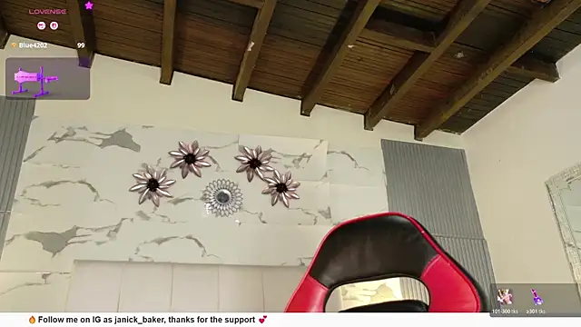 JanickBaker webcam