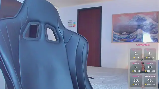 RJBarto webcam