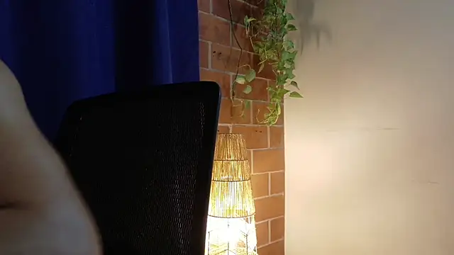 David-Nova_ webcam