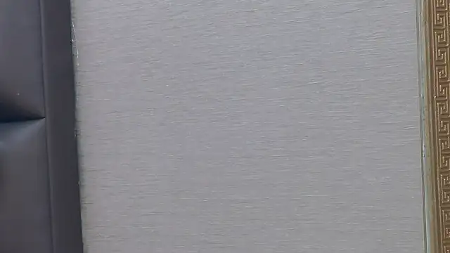 FoxyJoy webcam
