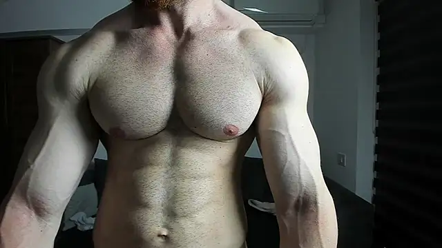 ZkkBlitz webcam