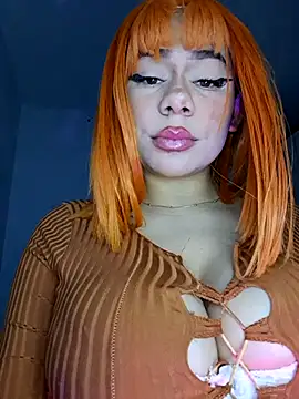 Yerystar webcam