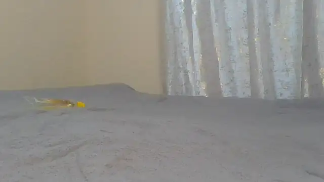 ndivhuwomuleya live cam on StripChat