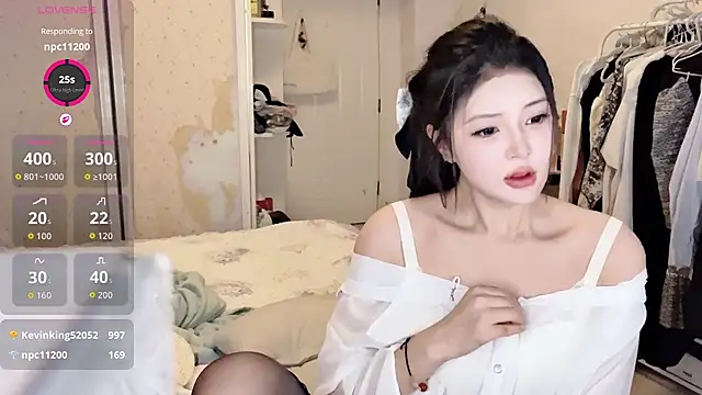 secret-anan webcam