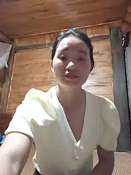 Td3di webcam