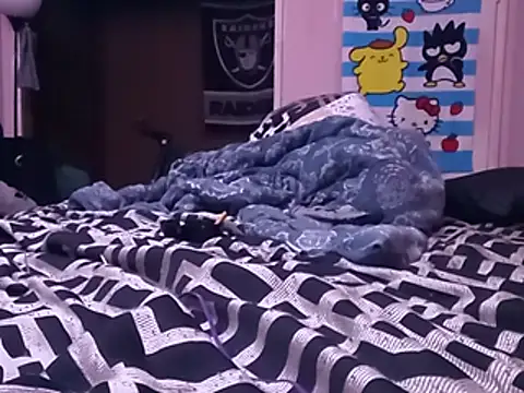 Blkstylion webcam