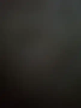 Flirt-Fight webcam