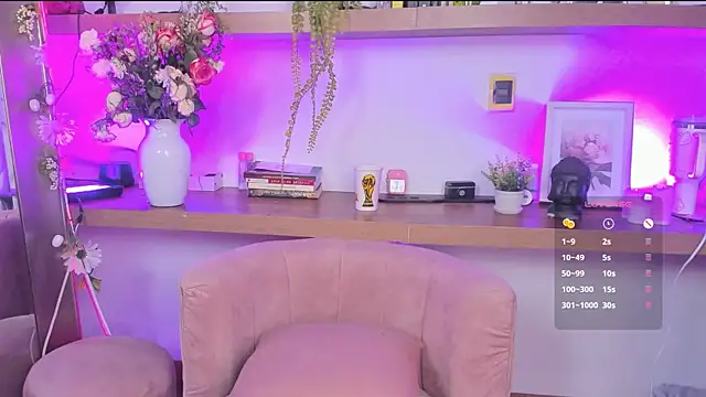 _Lorraine_v webcam