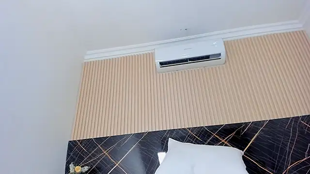 Bruno_fox webcam
