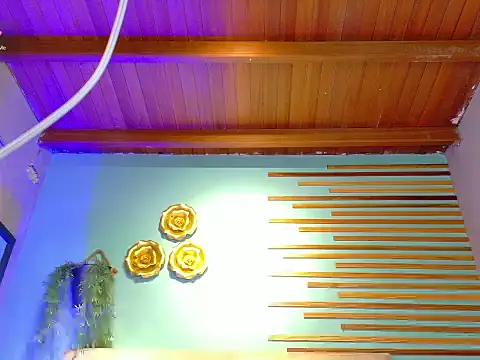 aalejo_gray live cam on StripChat