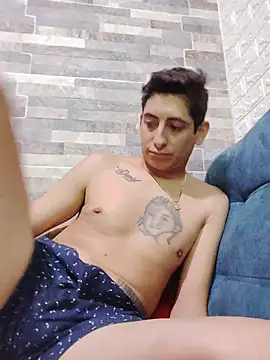 Tiger_cryad webcam