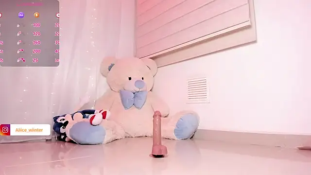 Alice_winter_ webcam