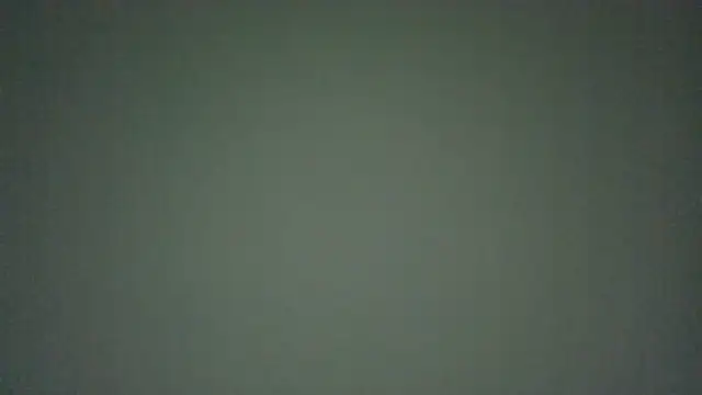 Perqueen webcam