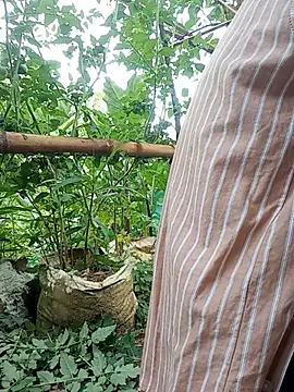 Hayaya11 webcam