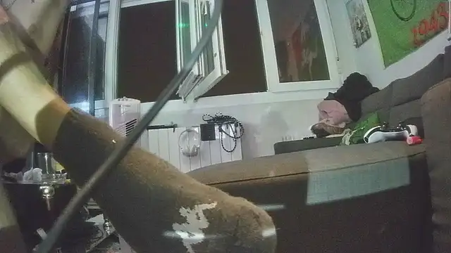 Dileilei webcam