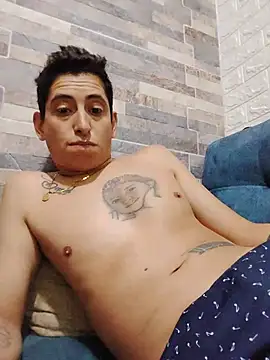 Tiger_cryad webcam