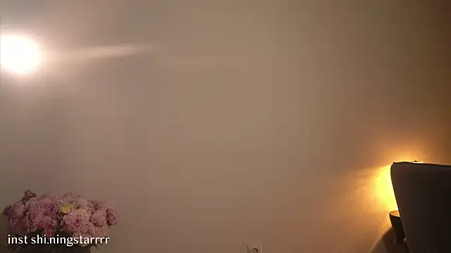 alittlestarrr webcam