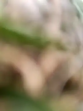 hotpussyxxx777 webcam