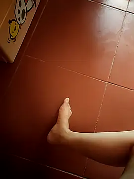 -Tara-a webcam