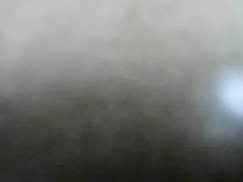 camila_wood webcam