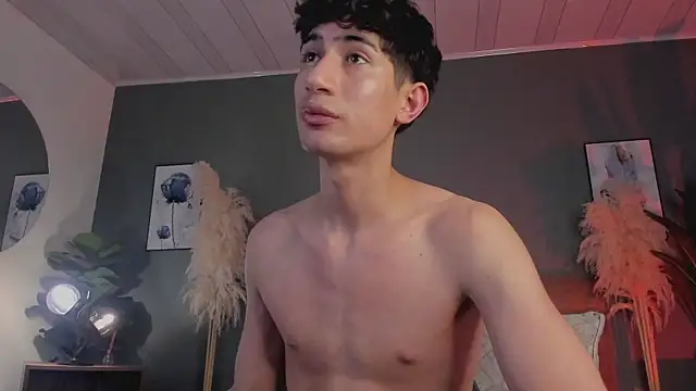 NovaaWheler webcam