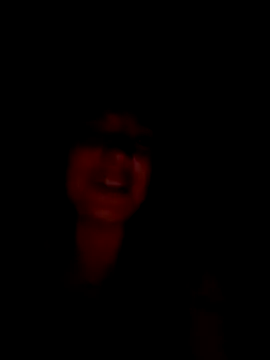 VanLifeVixen webcam