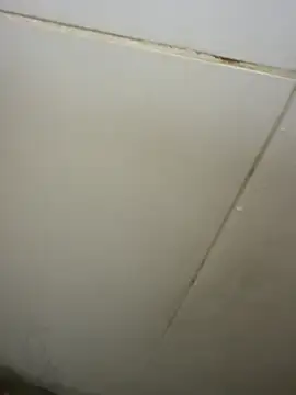 loveslim2 webcam