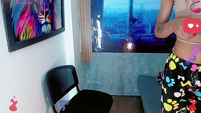 Deivelys webcam