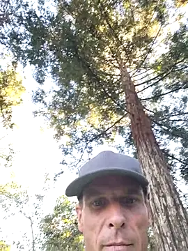 415cali925 webcam