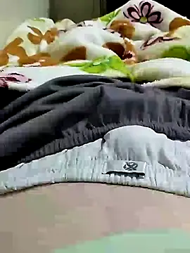 Gallanttrox live cam on StripChat