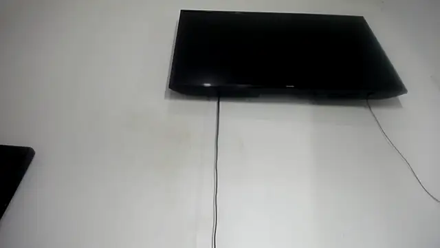 Fox_Loves