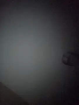 Nidge251 live sex cam