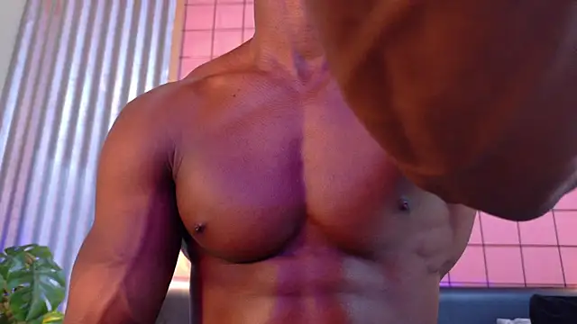 martin_killer webcam