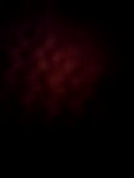 -Tara-a webcam
