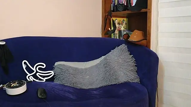 Derekswan webcam