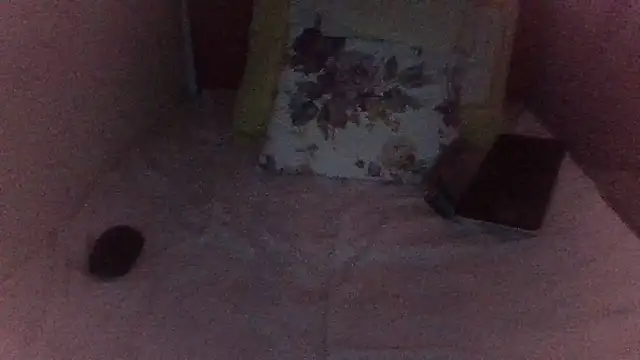 st206boy webcam