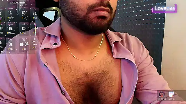 SilverShade3 webcam