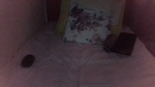 st206boy webcam