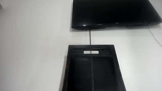 Fox_Loves webcam