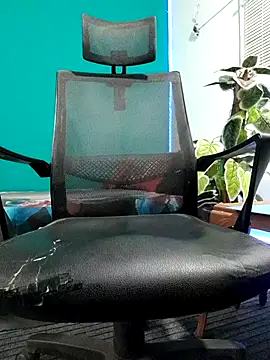 Rayansmith_ webcam