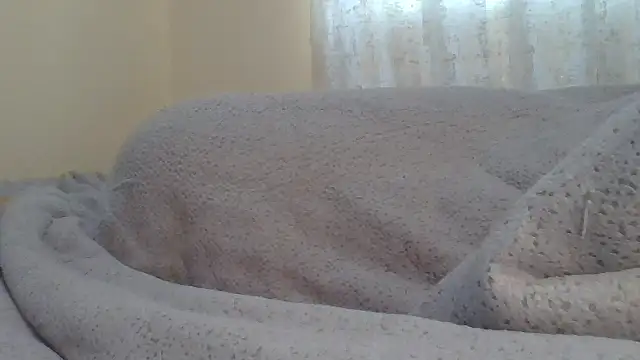 ndivhuwomuleya live cam on StripChat