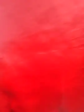 JerryJen11 live cam on StripChat