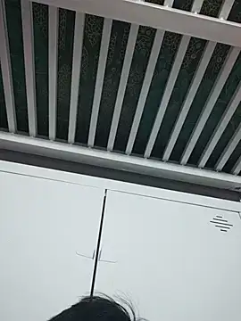 Wowxzzx webcam