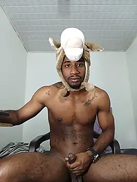blackhorseet webcam