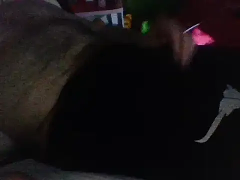 hnhgay webcam