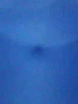 tarra122 webcam