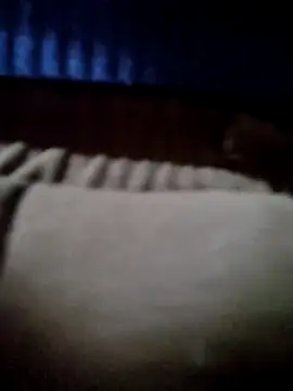 -Tara-a webcam