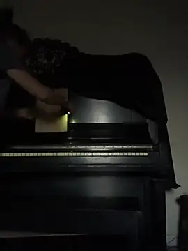 Phattpinktaco webcam