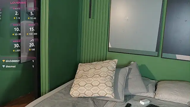 mekari_fox webcam