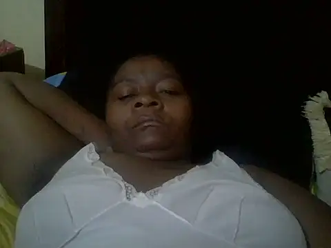 scatia webcam